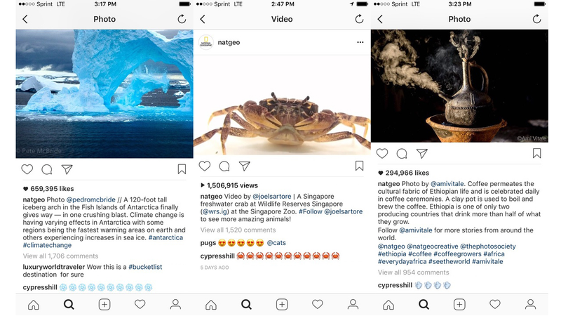 Examples of Cypress Hill commenting on National Geographic’s Instagram photos.